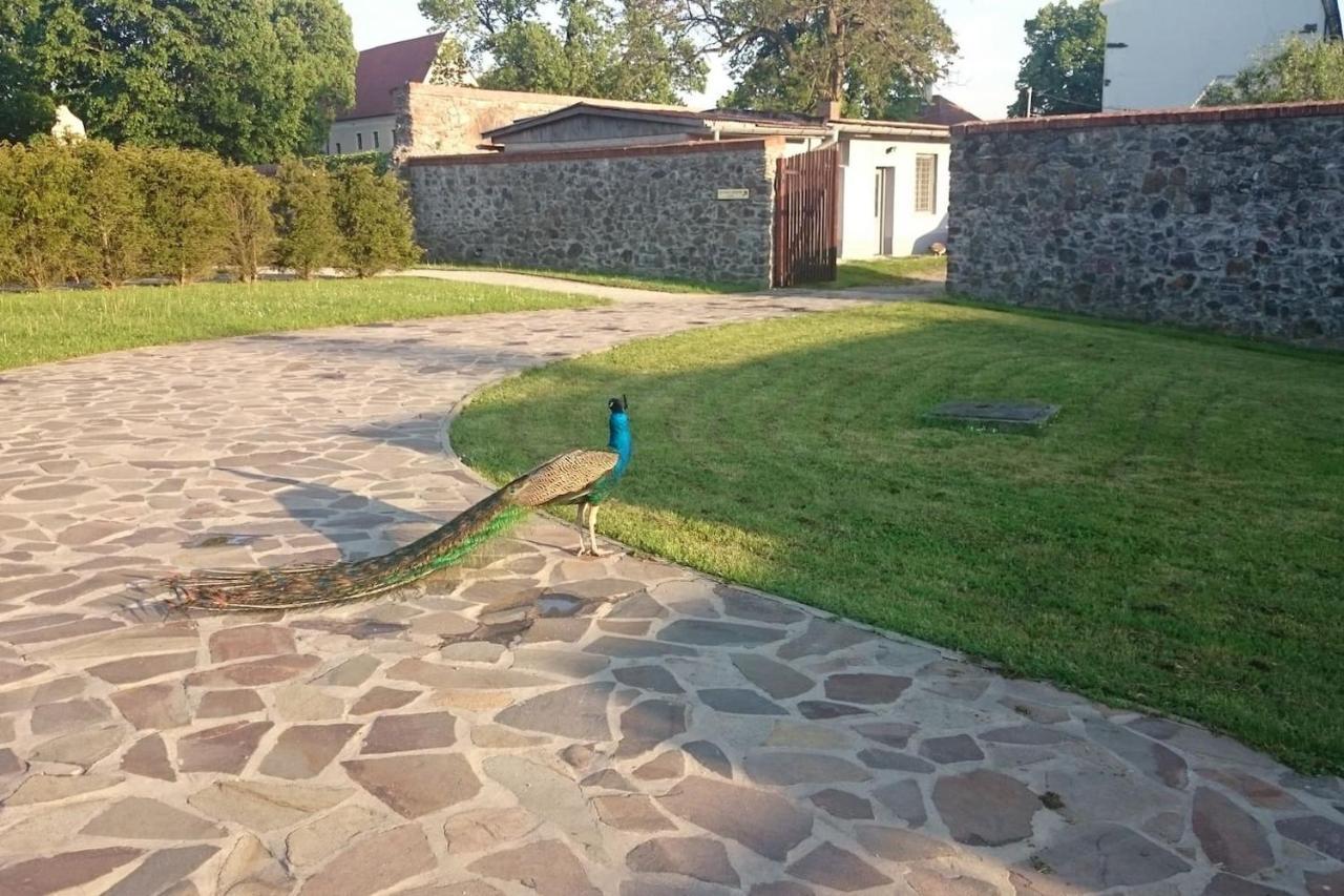 Slovak Cottage Near Bratislava In The Heart Of The Carpathians مودرا المظهر الخارجي الصورة