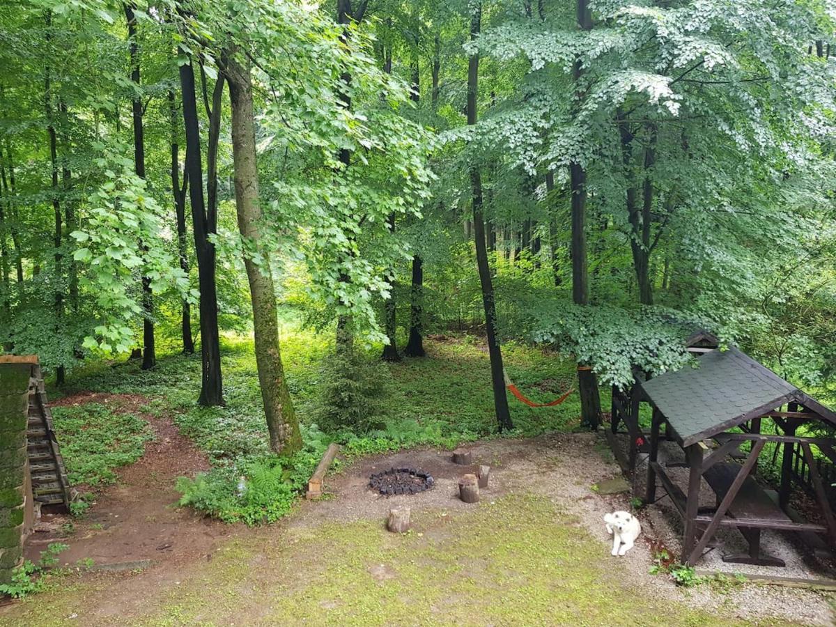 Slovak Cottage Near Bratislava In The Heart Of The Carpathians مودرا المظهر الخارجي الصورة