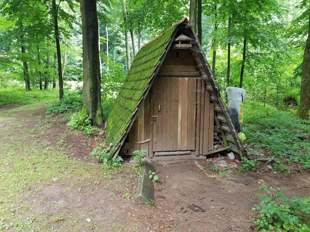 Slovak Cottage Near Bratislava In The Heart Of The Carpathians مودرا المظهر الخارجي الصورة